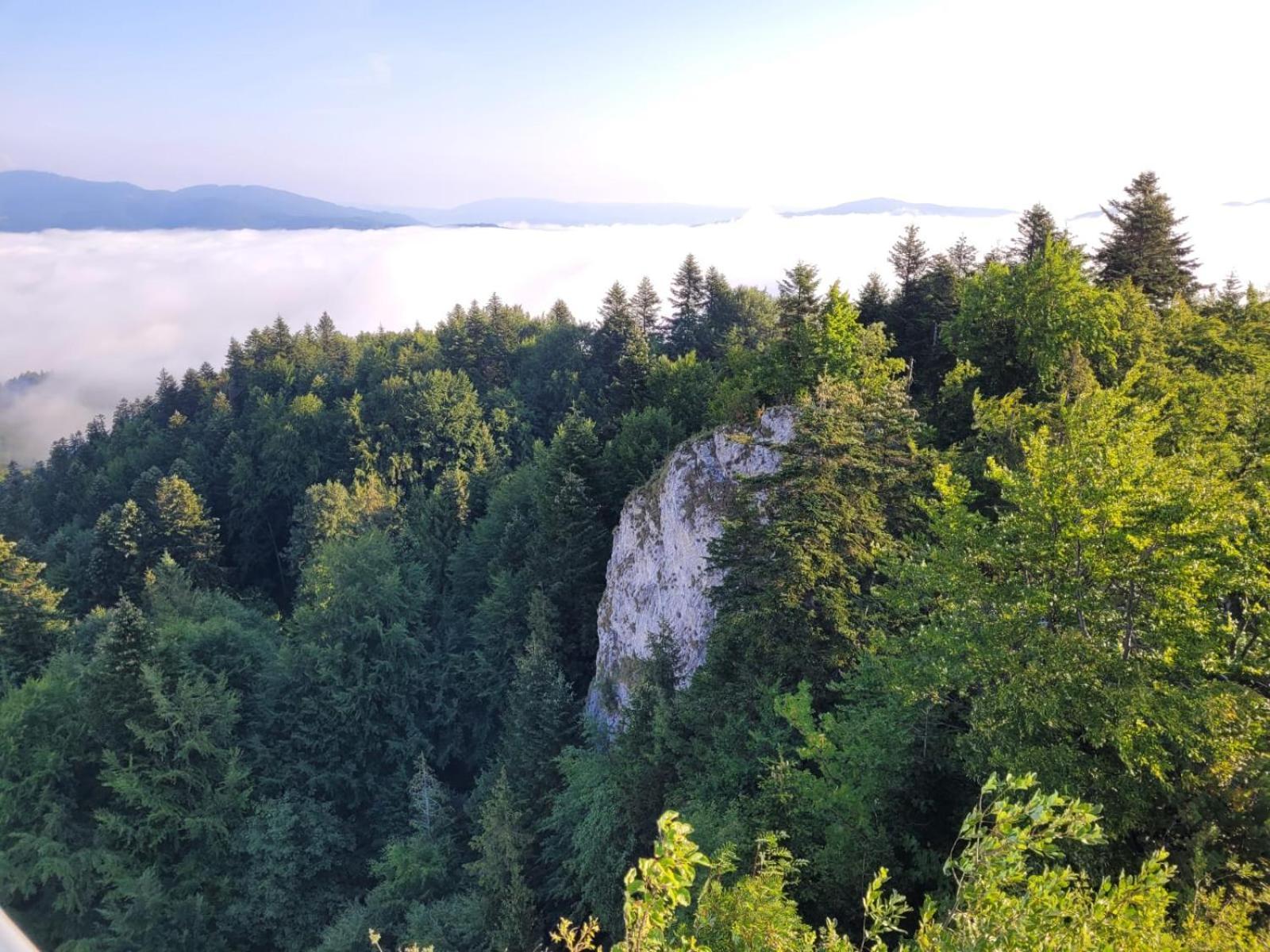 فيلا Szczytowisko Grywald المظهر الخارجي الصورة